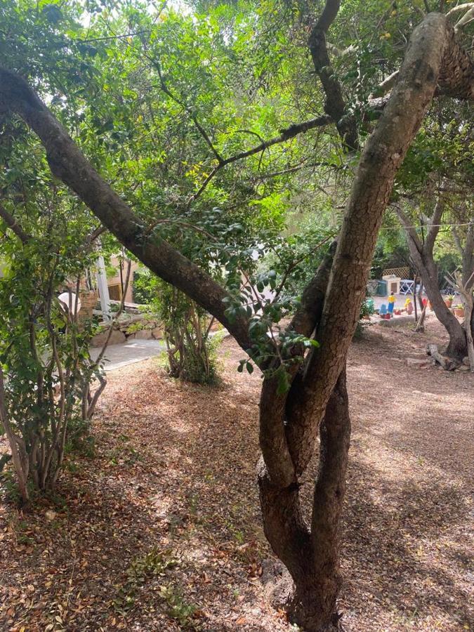 Le Stanze Del Mare Aparthotel Golfo Aranci Bagian luar foto