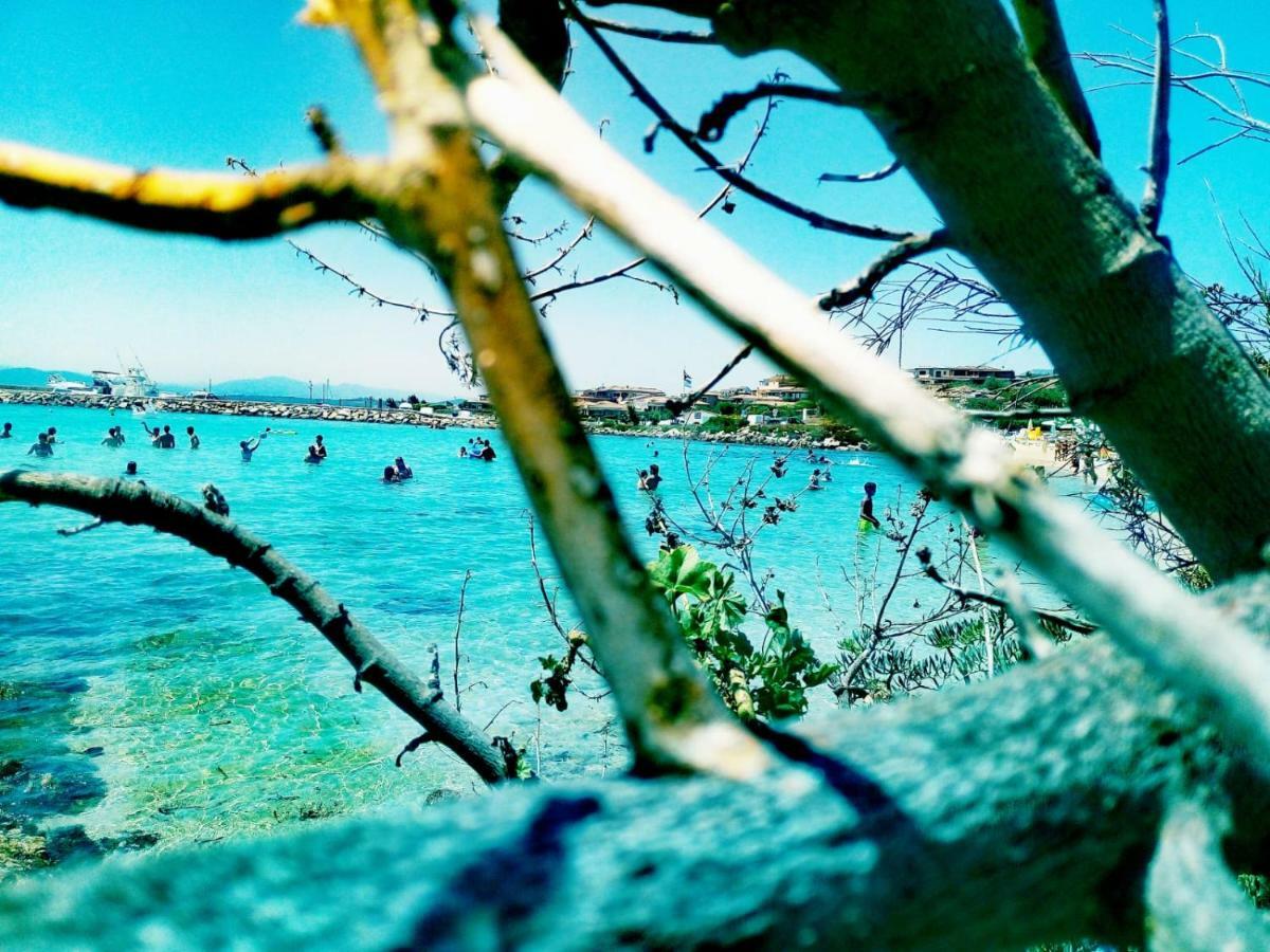 Le Stanze Del Mare Aparthotel Golfo Aranci Bagian luar foto