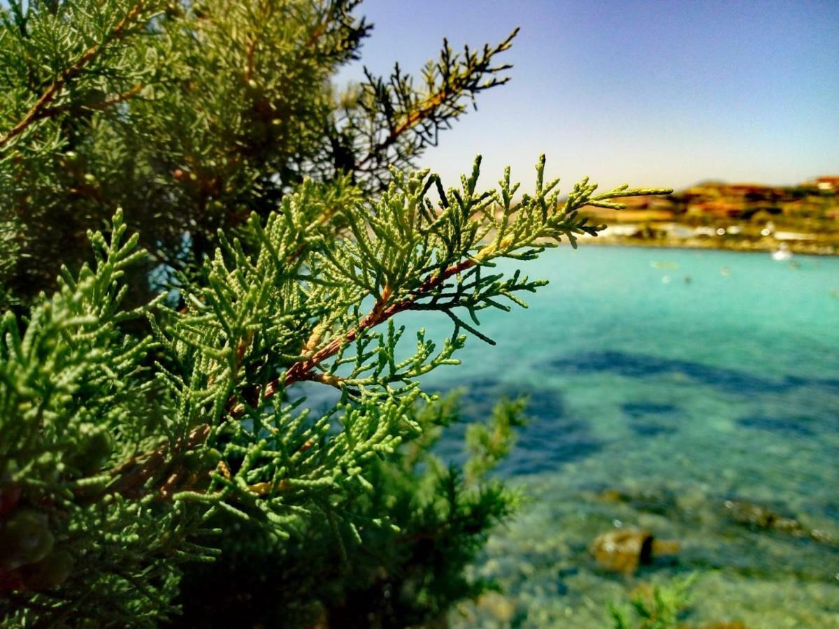 Le Stanze Del Mare Aparthotel Golfo Aranci Bagian luar foto