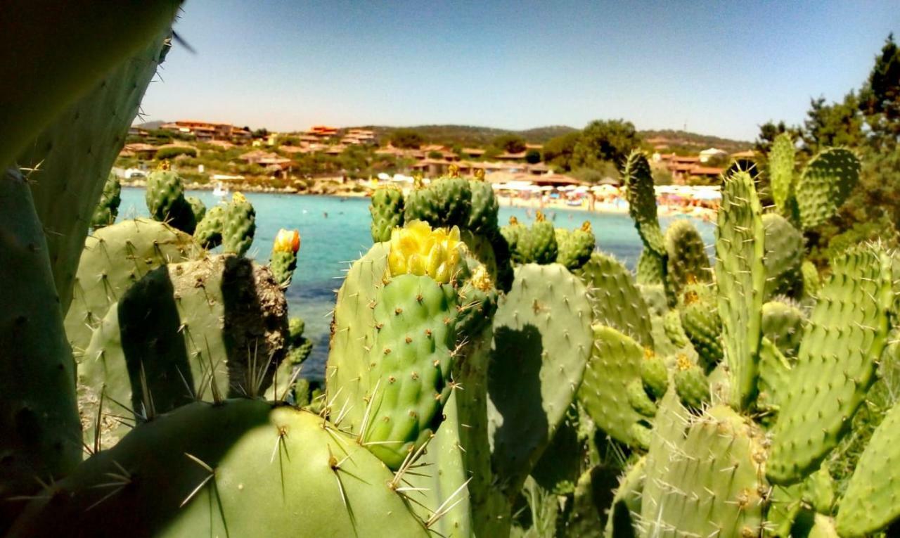 Le Stanze Del Mare Aparthotel Golfo Aranci Bagian luar foto